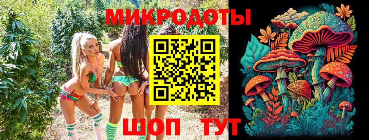 хочу   Вход с VPN  Хасавюрт  Галлюциногенные грибы Psilocybe 