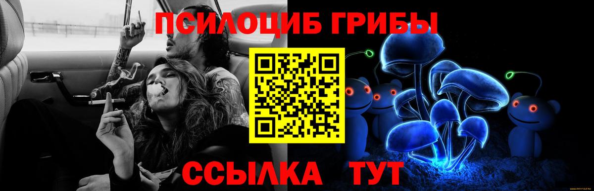 Псилоцибиновые грибы Psilocybine cubensis Хасавюрт